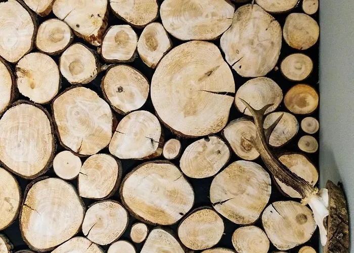 דירה Tauernlust Outdoor & Relax *